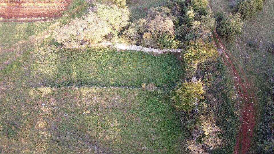 Building Land in Istria