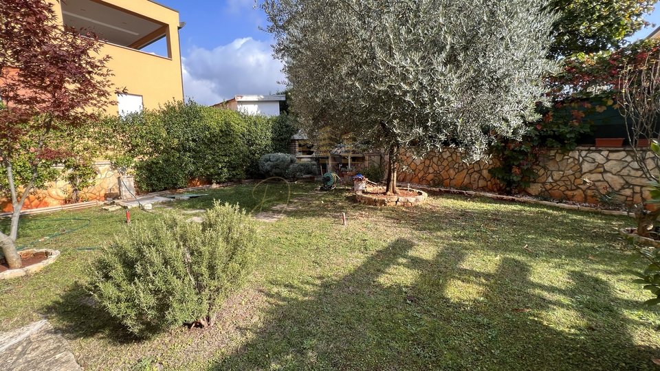 Apartamneto Cittanova