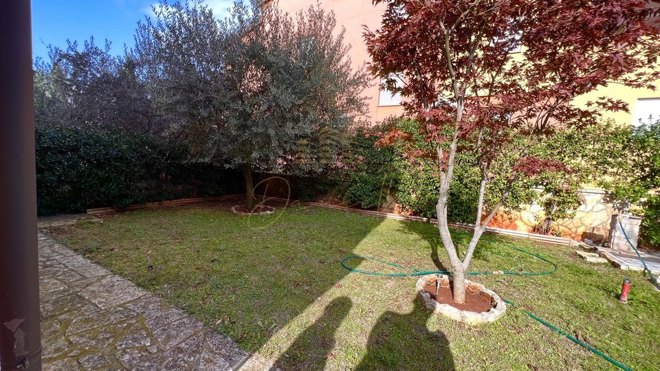 Apartamneto Cittanova