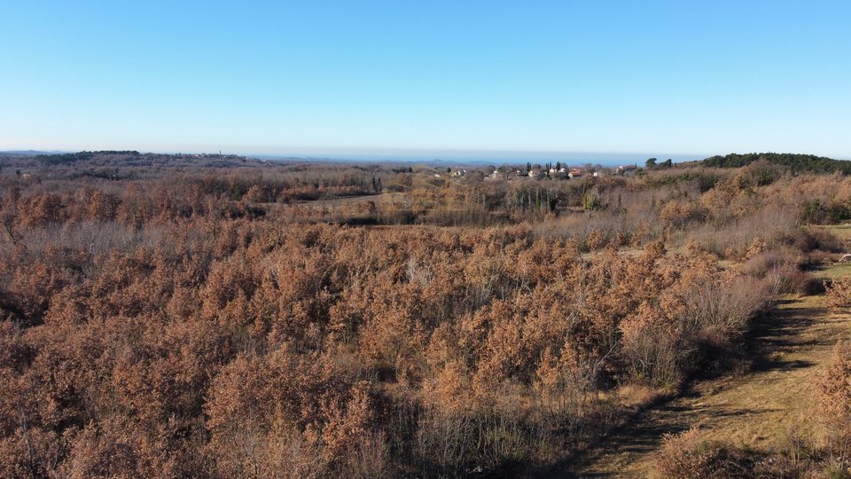 Land, 1200 m2, For Sale, Poreč - Baderna